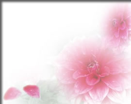 懸賞生活の背景画像