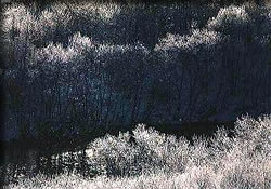 ダイヤモンド・ダスト