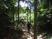 クリックで拡大！