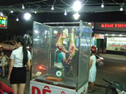 クリックで拡大！