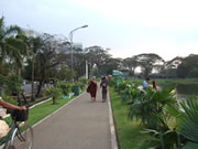 クリックで拡大！