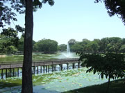 クリックで拡大！