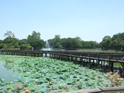 クリックで拡大！