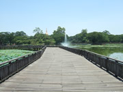 クリックで拡大！