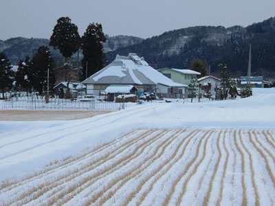 クリックで拡大！