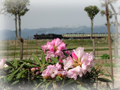 【只見湖から田子倉】