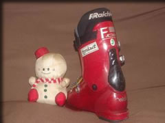 ���C�P���̃G�t�E�����q