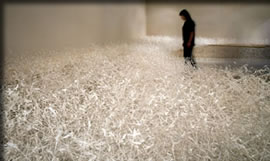 福島県立博物館秋の企画展