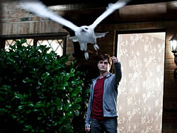 ハリー・ポッターと死の秘宝