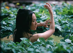 サービス・ショット