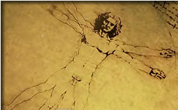 ウィトルウィウス的人体図