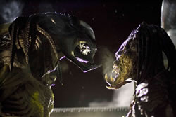 ヘルメットを脱いだクリーナー