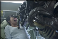 いきなり顔面を・・