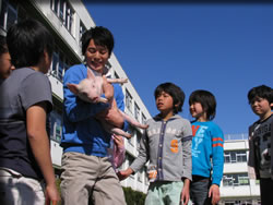 ブタがいた教室