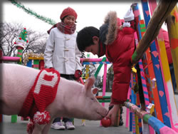 ブタがいた教室