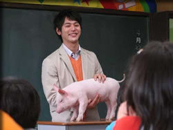 ブタがいた教室