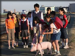 ブタがいた教室