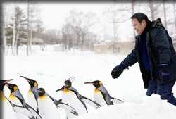 旭山動物園物語