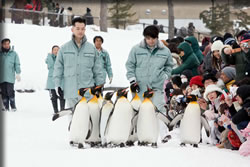 旭山動物園物語