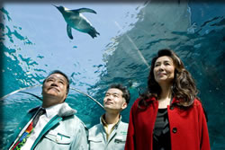 旭山動物園物語