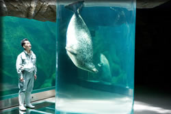 旭山動物園物語