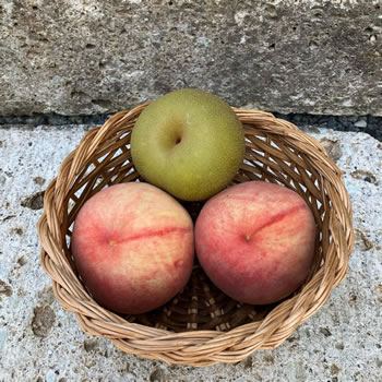 サイトへジャンプ！