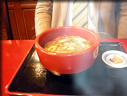 鴨南カレーうどん