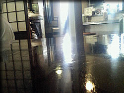 カウンター方面を・・