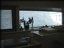 窓の外の大雪！