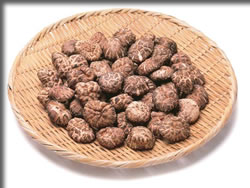 冬菇 （どんこ）