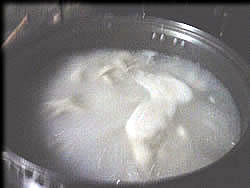 茹でています・・