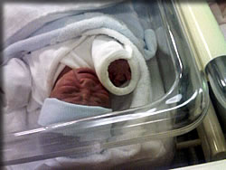 泣いている・・