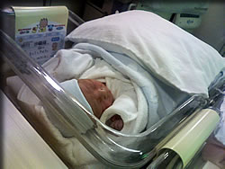 哲学者のような寝顔・・