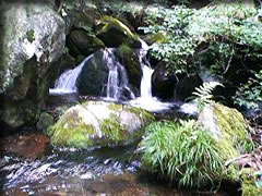 山荘近くの谷川