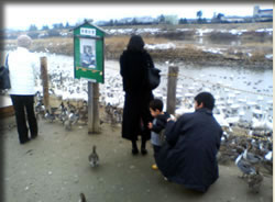 感動するあゆみさん