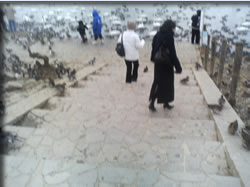 水辺に下りる美女二人