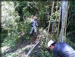 奮闘する師匠と朱雀