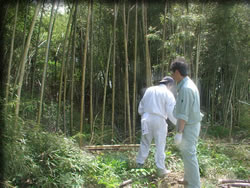 奮闘するMIZOと葉羽