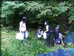 水を汲む美女たちと子どもたち