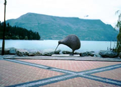 飛べない鳥キウィ