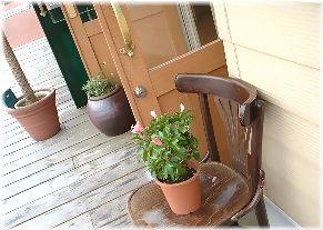 photo：お帰りなさい