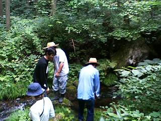 せせらぎに感動