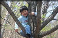 クリックで拡大！