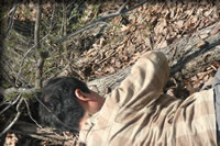 クリックで拡大！