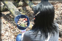 クリックで拡大！