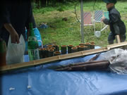 クリックで拡大！