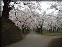 クリックで拡大！