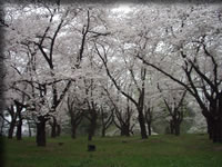 クリックで拡大！