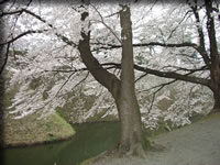 クリックで拡大！