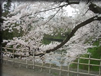 クリックで拡大！